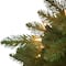 9ft. Pre-Lit Royal Majestic Fraser Fir Artificial Christmas Tree, Clear Lights